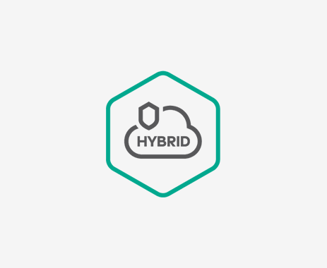 Kaspersky Hybrid Cloud Security 